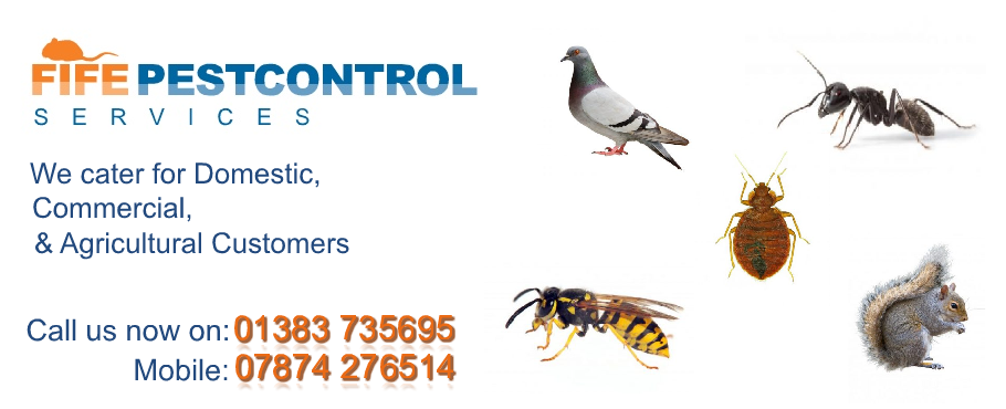 Pest Control Glenrothes
